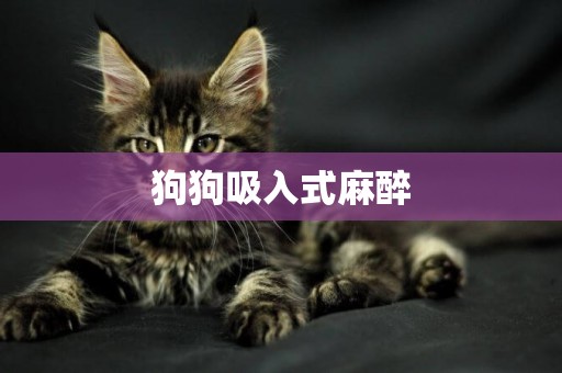 狗狗吸入式麻醉