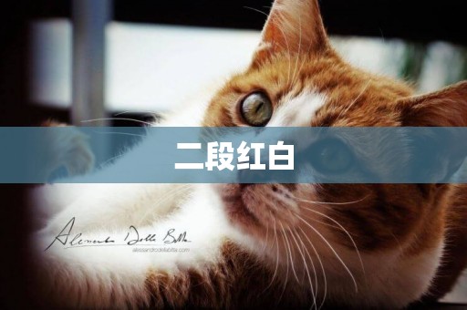 二段紅白