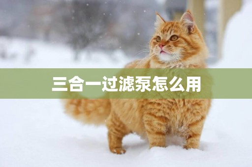 三合一過濾泵怎么用