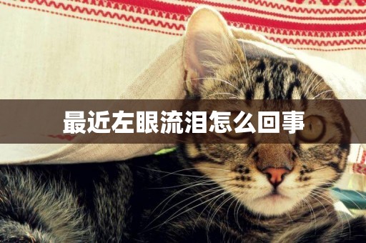 最近左眼流淚怎么回事