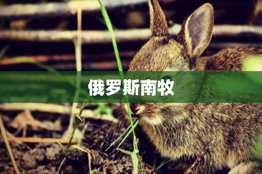 俄羅斯南牧