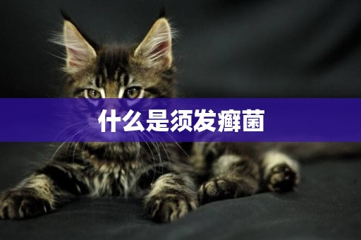 什么是須發癬菌