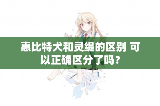 惠比特犬和靈緹的區別 可以正確區分了嗎？