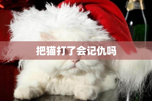 把貓打了會記仇嗎