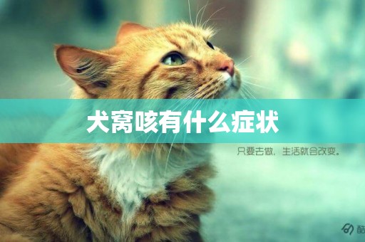 犬窩咳有什么癥狀