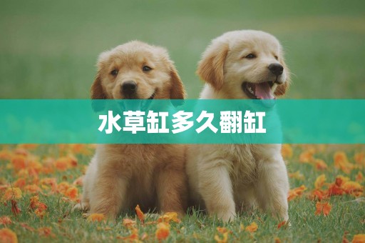 水草缸多久翻缸