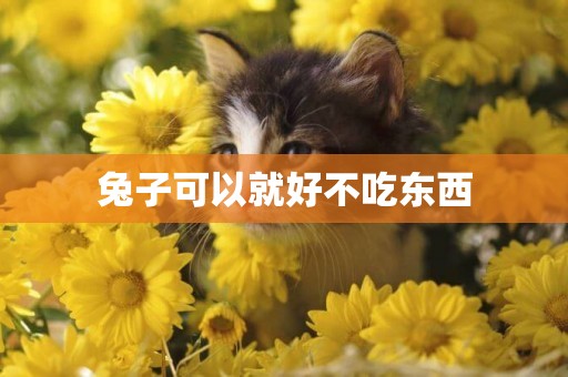兔子可以就好不吃東西