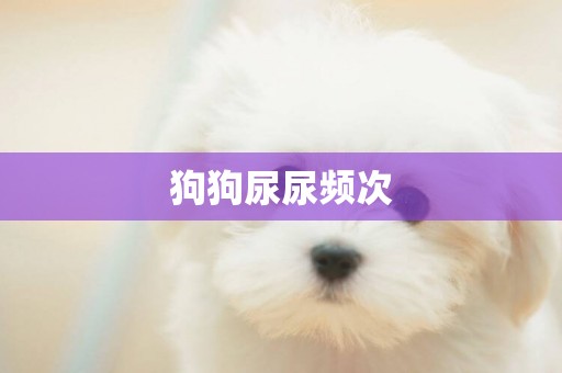 狗狗尿尿頻次