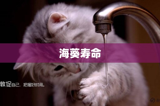 海葵壽命