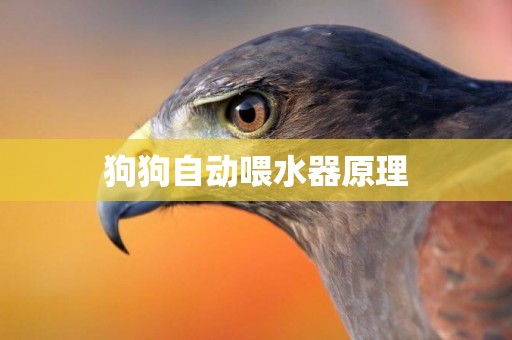 狗狗自動喂水器原理