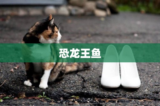 恐龍王魚