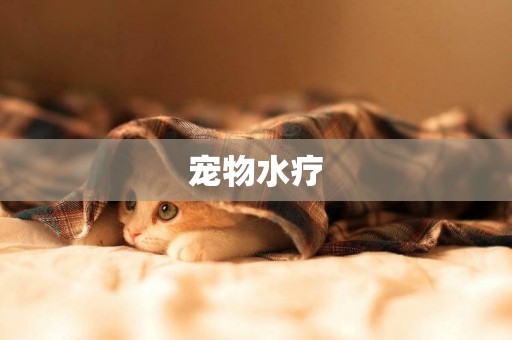寵物水療