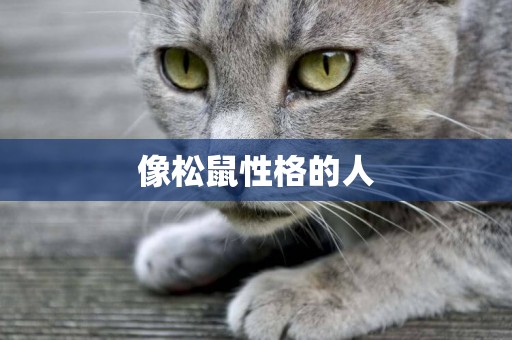 像松鼠性格的人