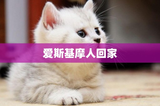 愛斯基摩人回家