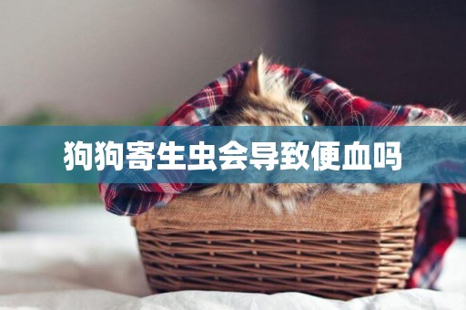 狗狗寄生蟲會導致便血嗎