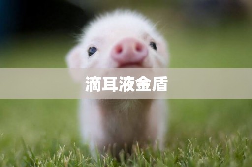 滴耳液金盾