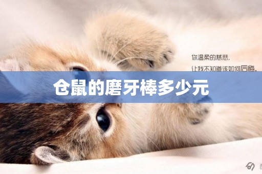 倉鼠的磨牙棒多少元