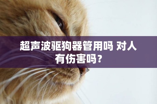 超聲波驅狗器管用嗎 對人有傷害嗎？