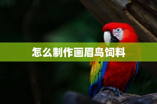 怎么制作畫眉鳥飼料