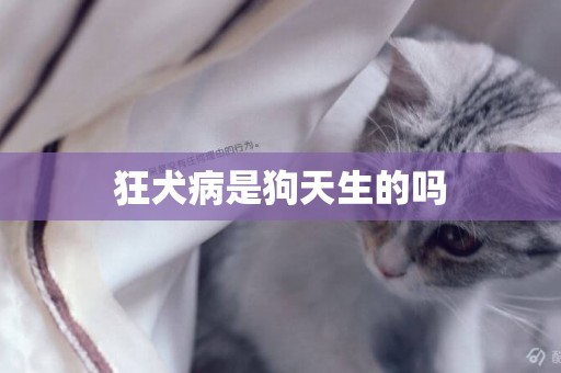 狂犬病是狗天生的嗎