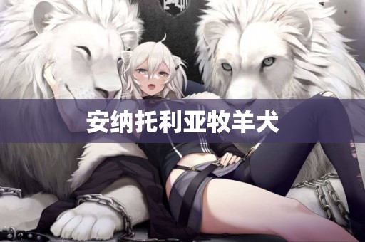安納托利亞牧羊犬