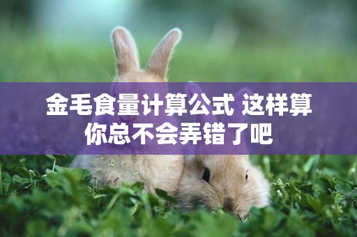 金毛食量計算公式 這樣算你總不會弄錯了吧