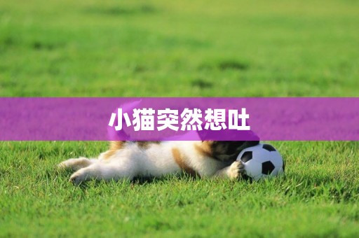 小貓突然想吐