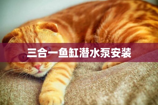 三合一魚缸潛水泵安裝