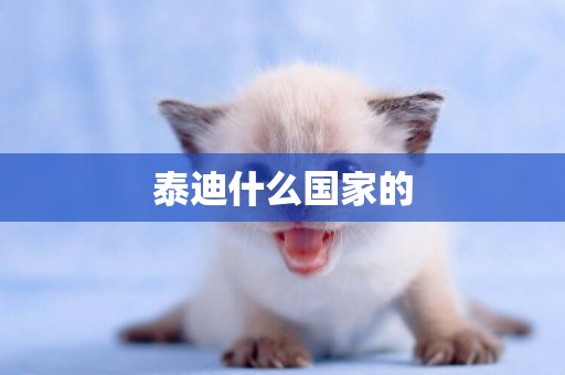 泰迪什么國家的