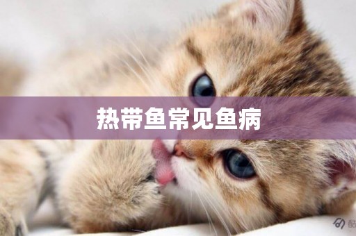 熱帶魚常見魚病