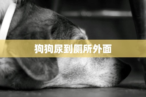 狗狗尿到廁所外面