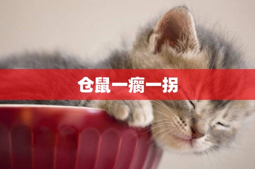 倉鼠一瘸一拐