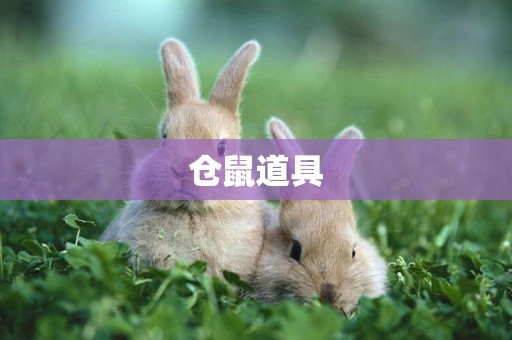 倉鼠道具