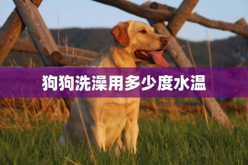 狗狗洗澡用多少度水溫