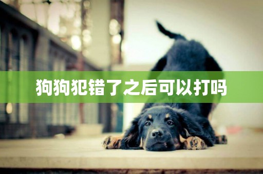 狗狗犯錯了之后可以打嗎