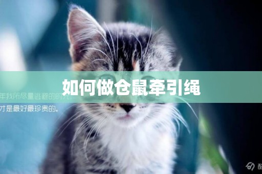 如何做倉鼠牽引繩