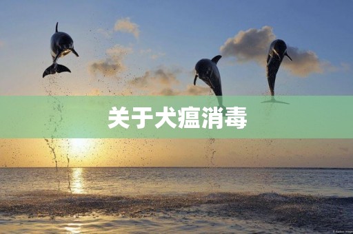 關于犬瘟消毒