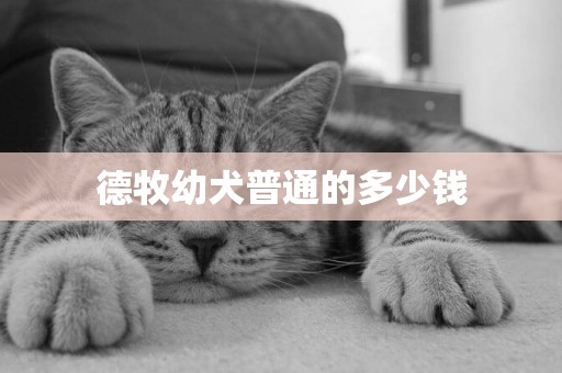 德牧幼犬普通的多少錢