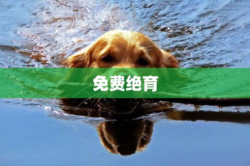 免費絕育