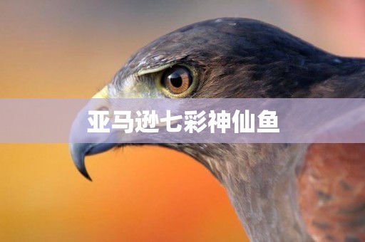 亞馬遜七彩神仙魚