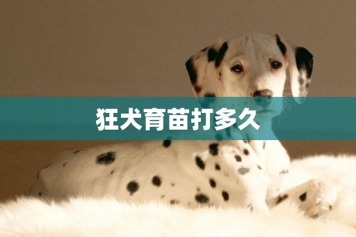 狂犬育苗打多久