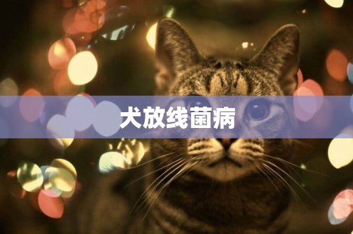 犬放線菌病