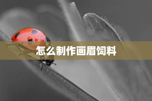 怎么制作畫眉飼料