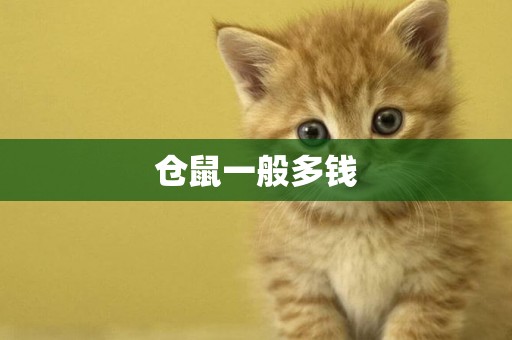 倉鼠一般多錢