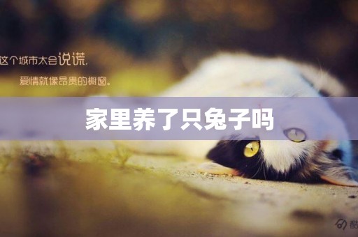 家里養了只兔子嗎