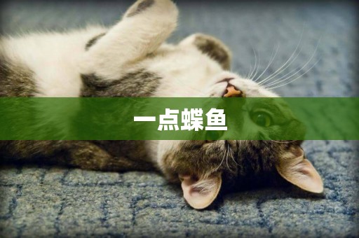 一點蝶魚