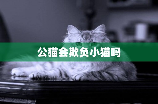 公貓會欺負小貓嗎