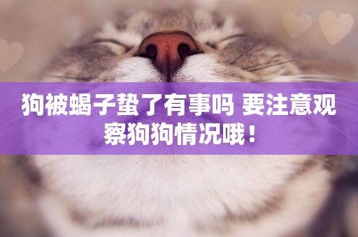 狗被蝎子蟄了有事嗎 要注意觀察狗狗情況哦！