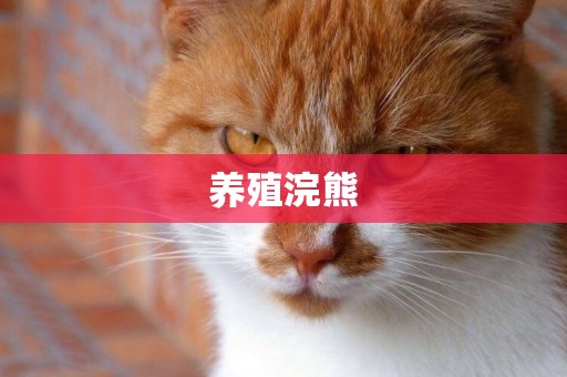 養殖浣熊