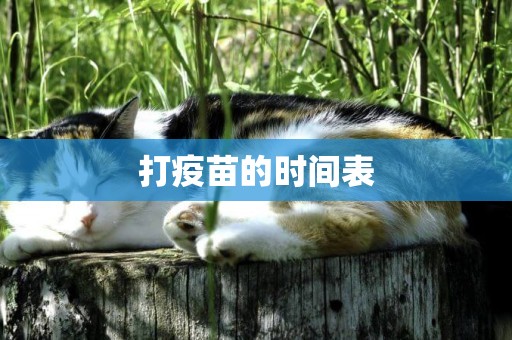 打疫苗的時間表